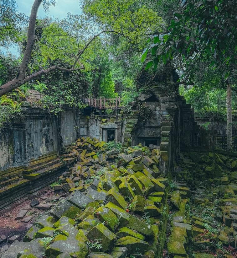 Ruines de temple envahies par la végétation de la jungle